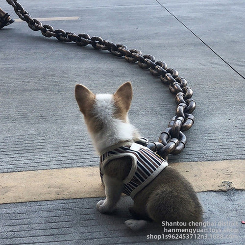 Pet Supplies Leash