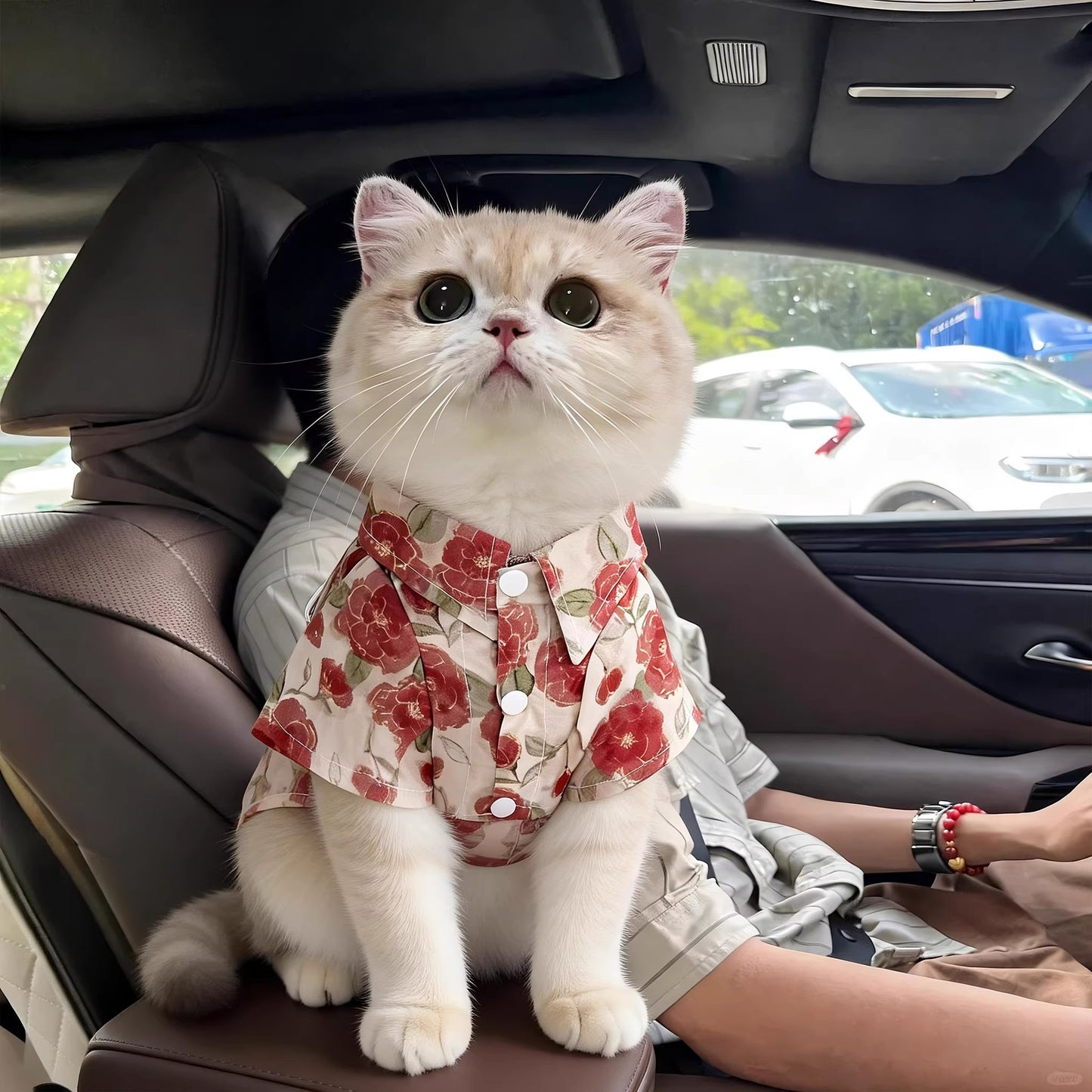 Floral Pet Shirt for Cats and Small Dogs