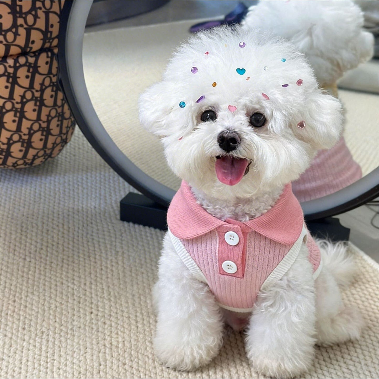 Floral Pet Shirt for Cats and Small Dogs