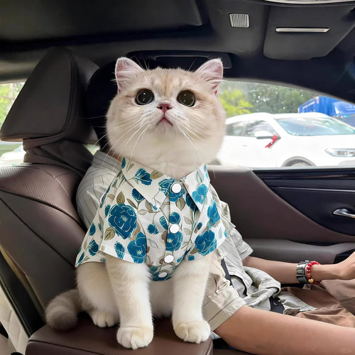 Floral Pet Shirt for Cats and Small Dogs