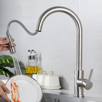 Kitchen mixer faucet