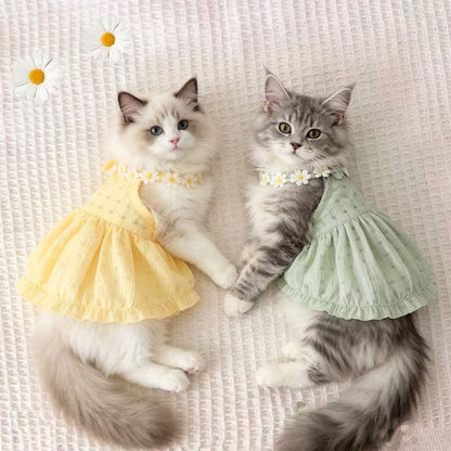 Summer Cat Gradient Strapless Dress Anti-Hair Pet Clothing for Small Cats