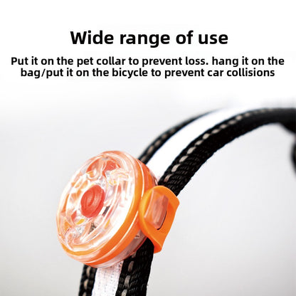 USB Rechargeable LED Pet Light Pendant