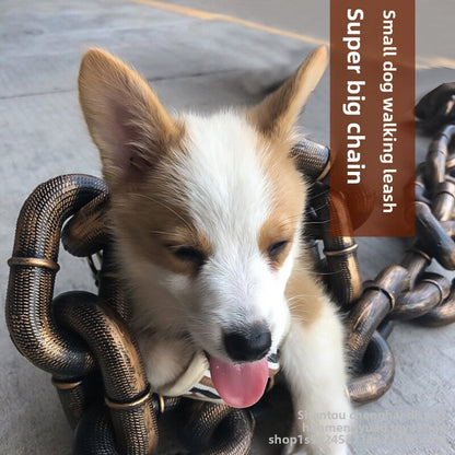 Pet Supplies Leash