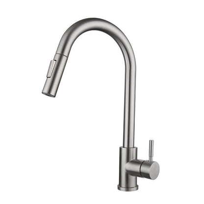 Kitchen mixer faucet