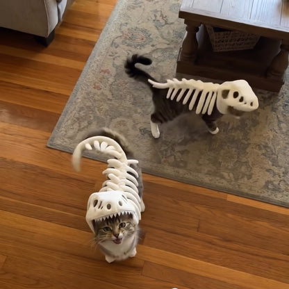 Dinosaur Skeleton Pet Costume