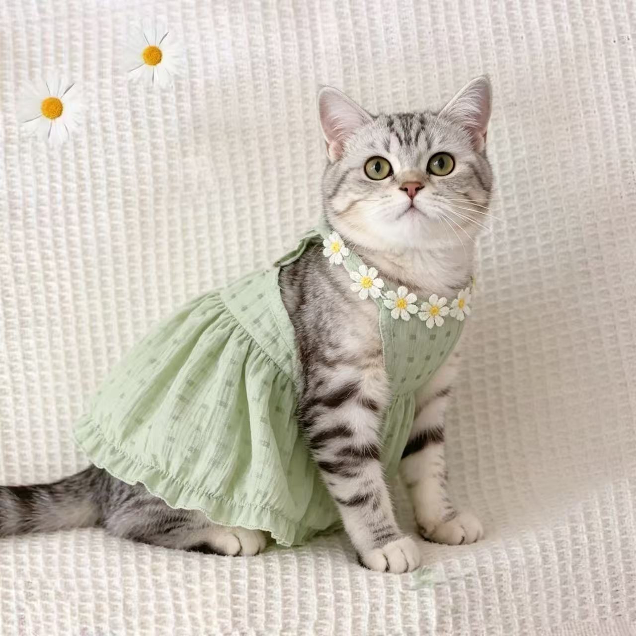 Summer Cat Gradient Strapless Dress Anti-Hair Pet Clothing for Small Cats