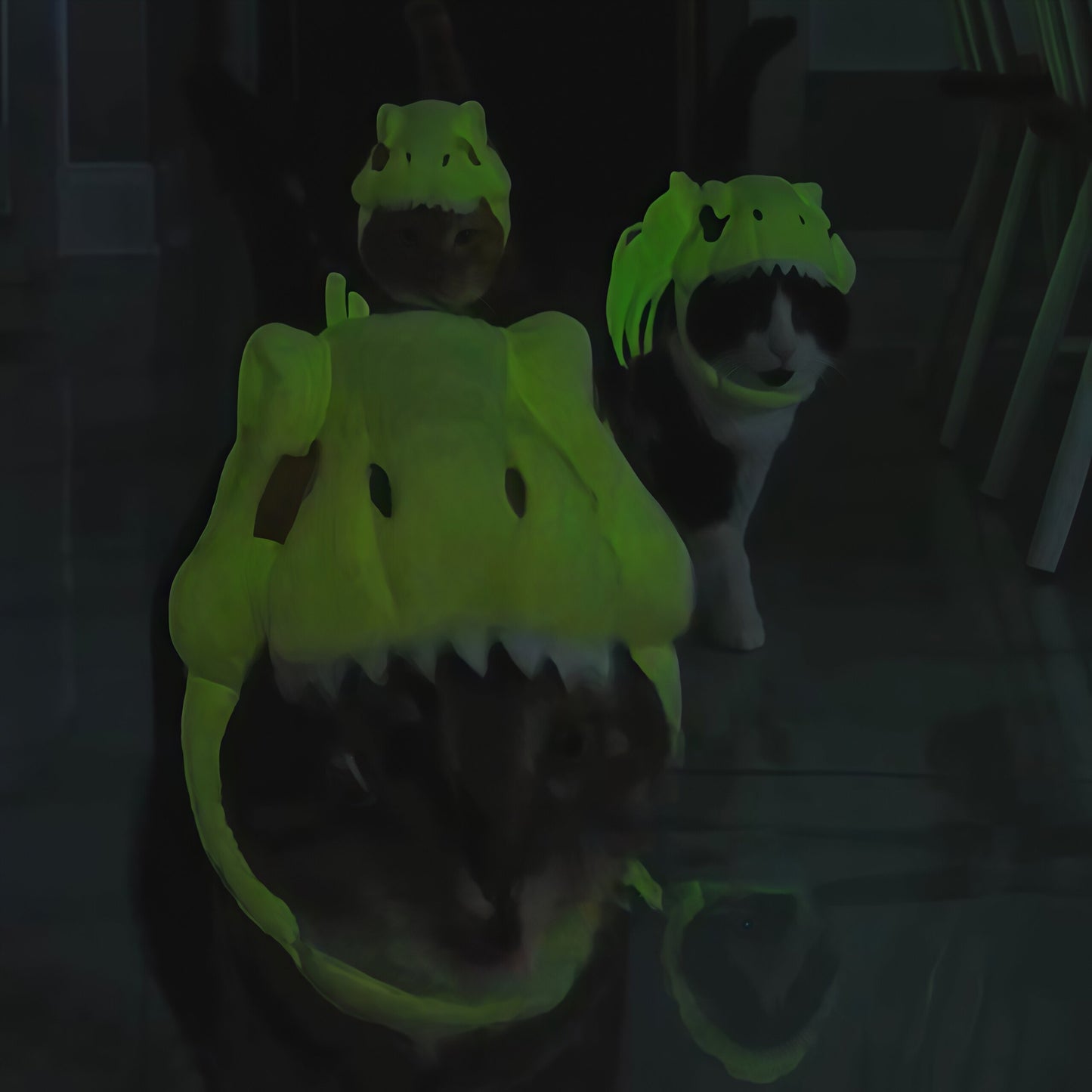 Dinosaur Skeleton Pet Headgear