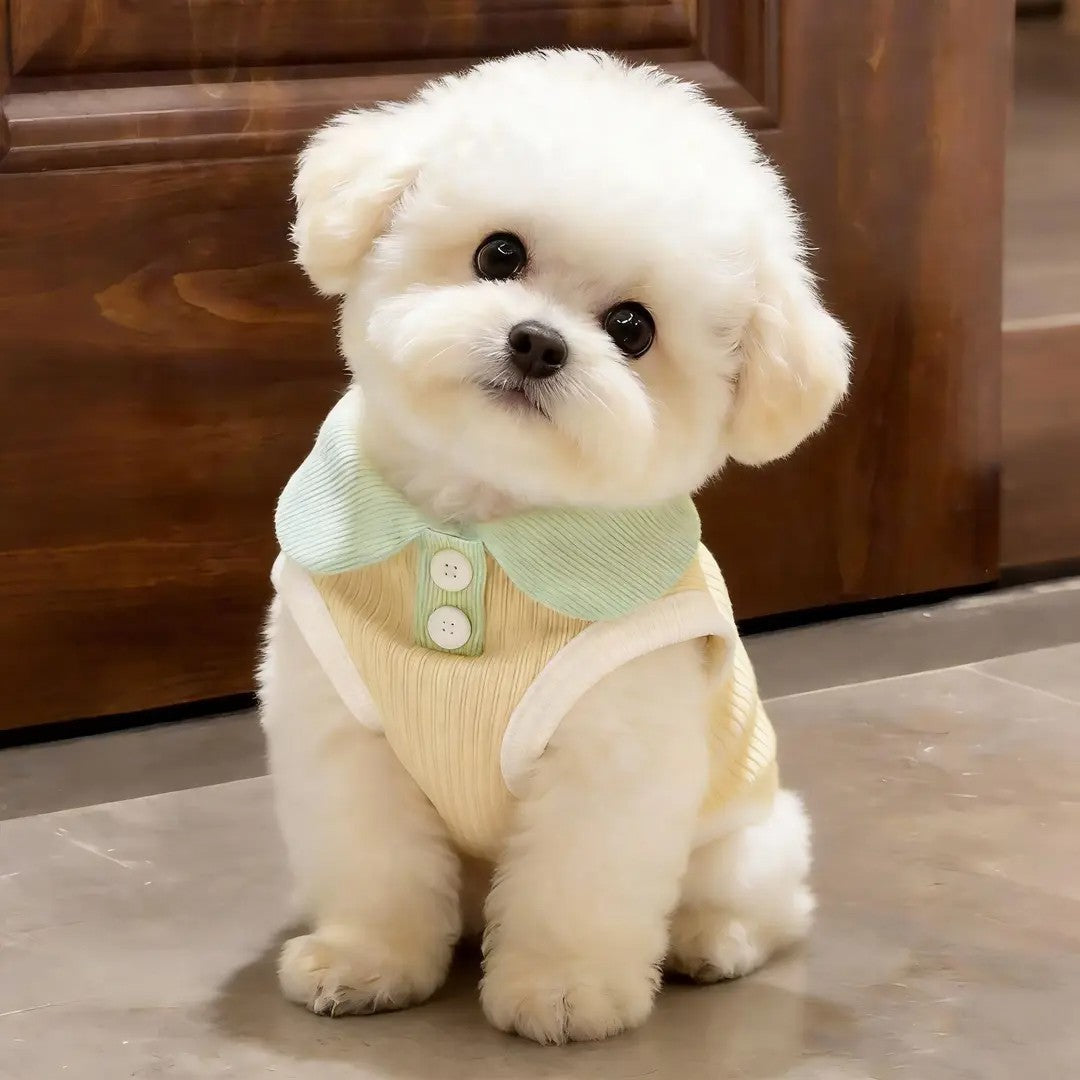 Floral Pet Shirt for Cats and Small Dogs